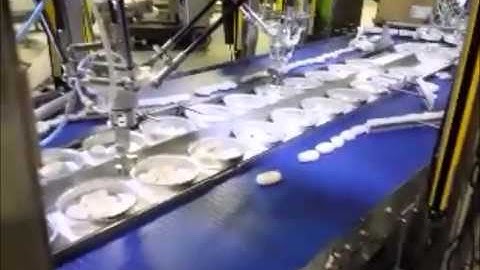 Robotic Spider Pick & Place - One of Industry