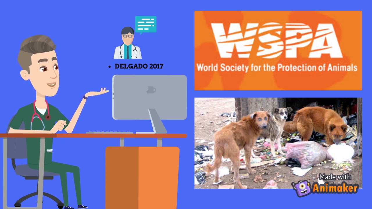 REPORTE DE CASO CLINICO DE DILIPIDIASIS CANINA EN CACHORRA MESTIZA EN UNA VETERINARIA DE LOS OLIVOS