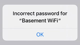 When You Ask for the WiFi Password...