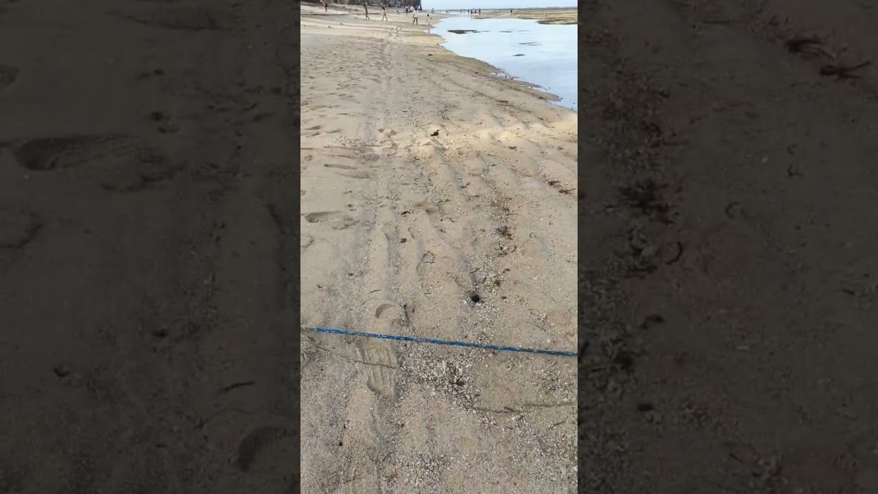 BOLINAO PANGGASINAN 2026