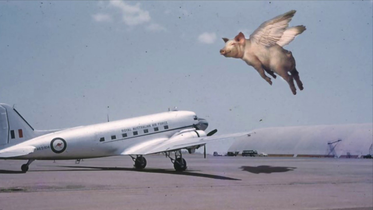 Operation Pig Bristle