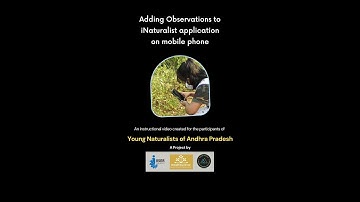 Adding observations to iNaturalist application on moblie phone
