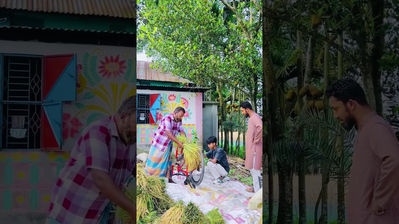 ডিজিটাল কৃষক
