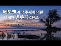 피아노 연주 | 베토벤 자작 주제에 의한 32개의 변주곡 C단조 | Beethoven-32 Variations on an original theme in C minor WoO.80