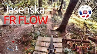 BIKEPARK Jasenska 2017 2. FR FLOW Course Preview /GPS Live Data & Subtitles/