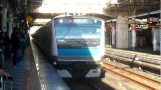 2012/11/25　E233系ウラ174編成　上野駅到着