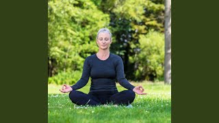 Binaural of Raindrop Meditation Serenade