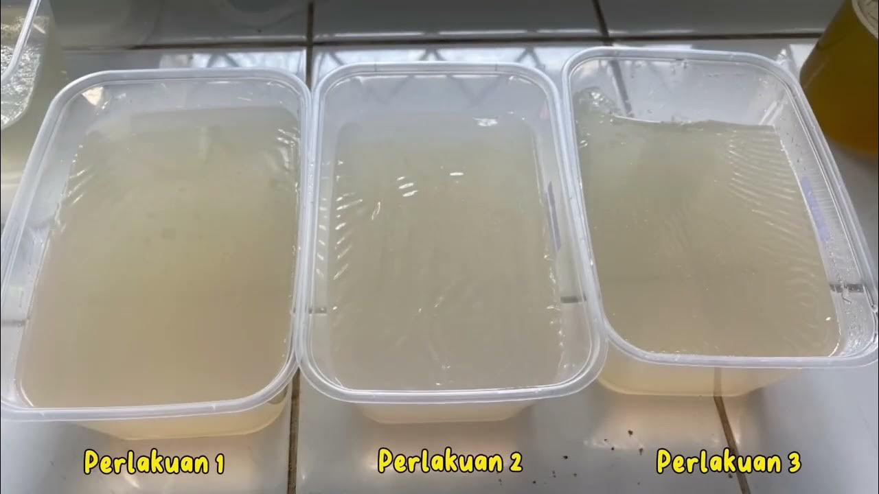 Pembuatan Gel Dari Agar, Karagenan & Alginat_KEL 3_Prak.Teknologi Hasil Perikanan dan Perairan