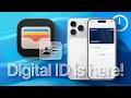 Apple Wallet’s Digital ID Just Got Way Better (And How to Set It Up)