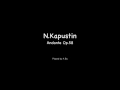 A Bu plays N.Kapustin Andante Op.58