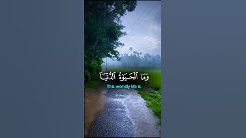 تلاوة خاشعه اسمع بقلبك 🍂🎧#قرآن #quran #اكسبلور #المصحف #راحة_نفسية #لايك #trending