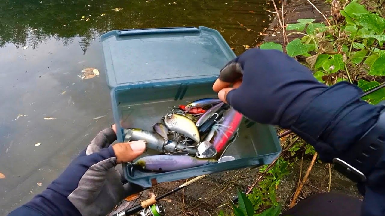 ６月のバス釣りをハードルアーのみで実釣しながら解説します 野池 初心者 Youtube