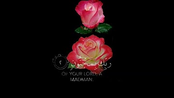 كرومات قران كريم شاشة سوداء ☘️ سورة القلم ☘️ن. والقلم ومايسطرون ☘️#راحةنفسيه  بدون حقوق ☘️