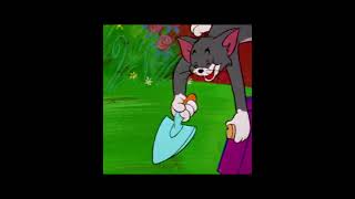 Tom & Jerry S1950E59 Tops With Pops 6