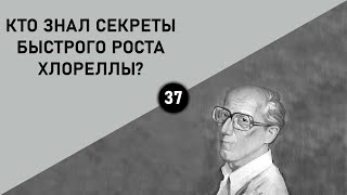 КТО ЗНАЛ СЕКРЕТЫ БЫСТРОГО РОСТА ХЛОРЕЛЛЫ?