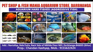 pet shop and fish mania aquarium store