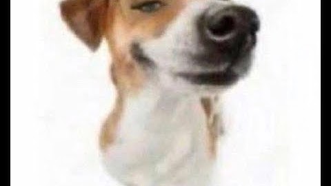 killing dumbass exploiter