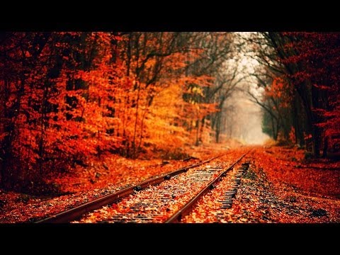 身騎白馬 - LA四賤客 {歌詞} 輕快台語