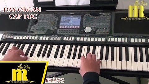 Học Đàn Organ Cấp Tốc TPHCM - TÌNH BƠ VƠ - Trung Tâm Nhạc Rừng
