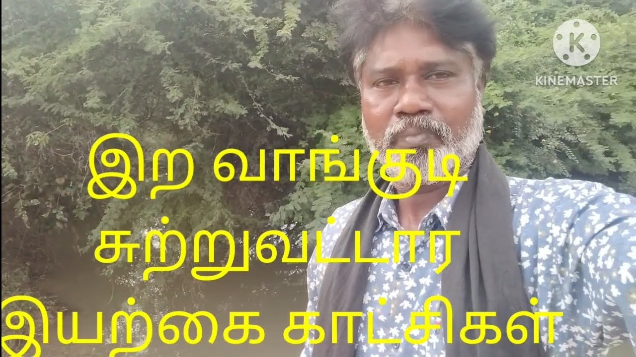 இராவாங் குடி, சுற்றுவட்டார இயற்கை காட்சிகள்#சத்திரம் ரமேஷ்##sathiram ...