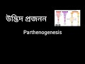 পার্থেনোজেনেসিস hsc botany chapter 10 উদ্ভিদ প্রজনন #hsc #biology #botany #study #parthenogenesis