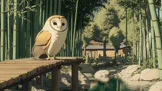 Guided by the Owl's Wisdom: Soft Piano for Deep Reflection screenshot 3