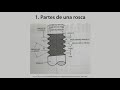 Roscas (parte 1). Introducción, nomenclatura y clasificación.