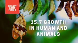 15.7 : The Growth In Humans And Animals - Biology KSSM Form 4 screenshot 5