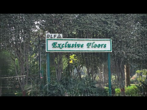 DLF Exclusive Floors, DLF Phase 5, Sector 53, Gurugram, 3Bhk + store Floor For Sale In Gurgaon