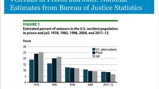 Veterans in the Justice System