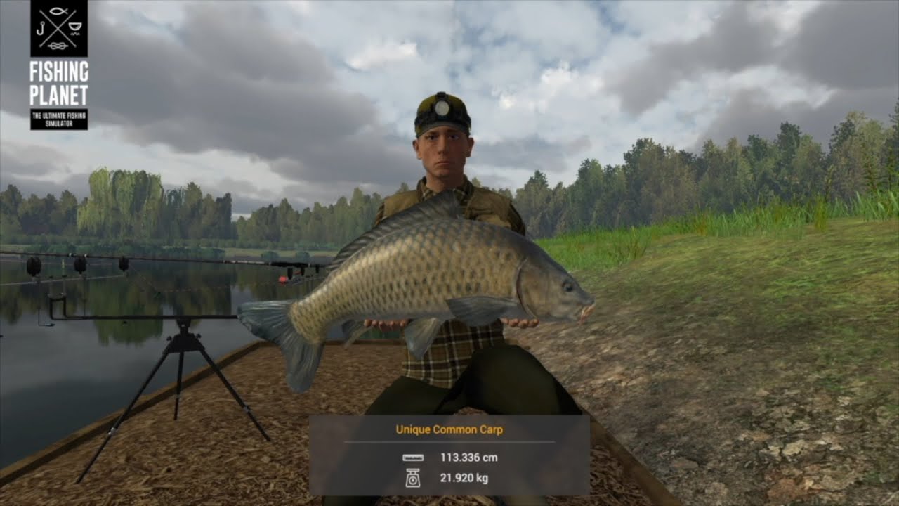 Fishing Planet Weeping Willows Unique Carp Locations Part 1 - YouTube