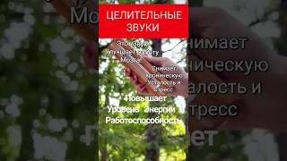 ВОСТОЧНЫЕ ПРАКТИКИ ЗДОРОВЬЯ.