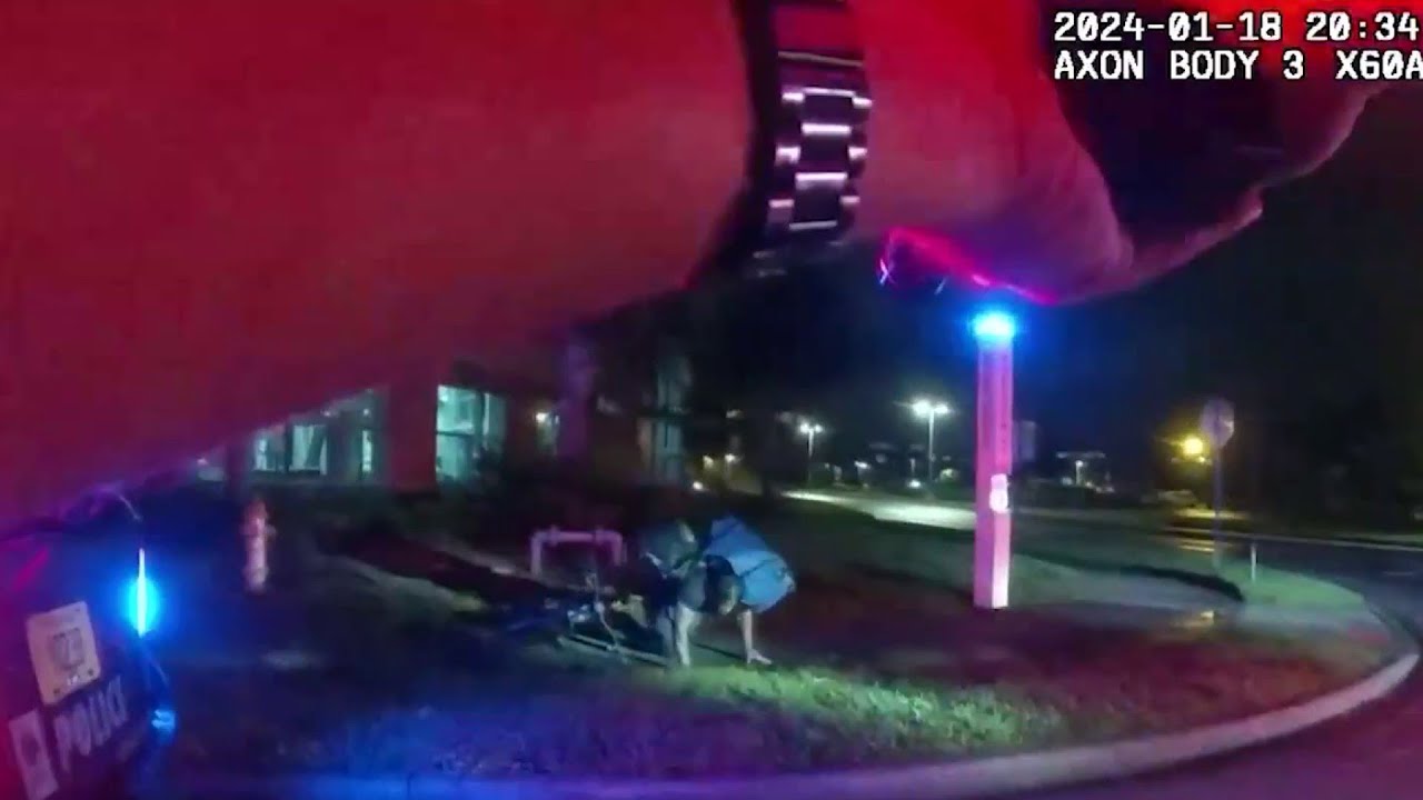Video shows UCF police arrest man accused of pulling gun on bus driver ...