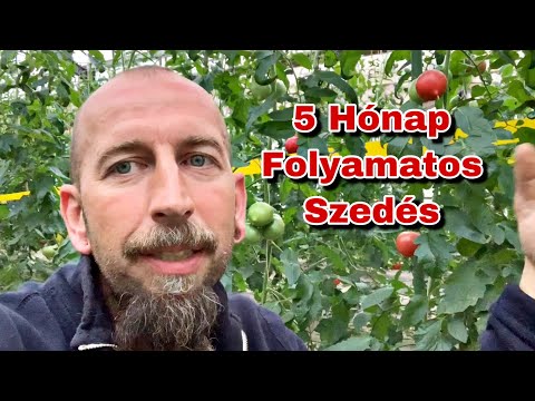 Videó: Örökös zöldségek – Tippek örökölt növények termesztéséhez