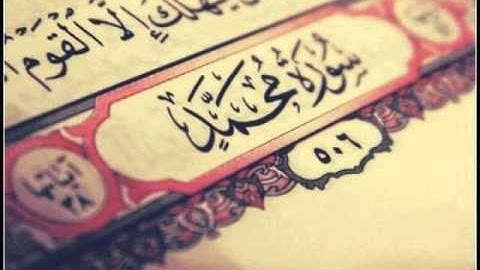 من سورة الجاثية _ إلى الحجرات .. الشيخ ناصر العصفور