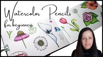 How to use watercolor pencils for beginners