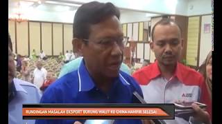 Rundingan masalah eksport burung walit ke China hampir selesai