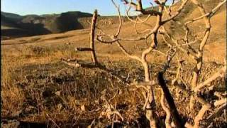 Oman Caves - Ministry of Oman Tourism