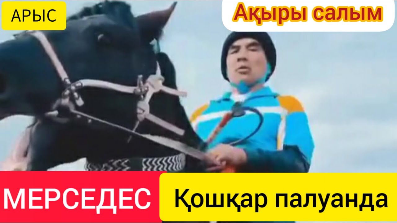 Оңтүстік жарық,Делеу мырзаның  кокпары 2 күн/Өгіз өлді Темирхан Айтбаев