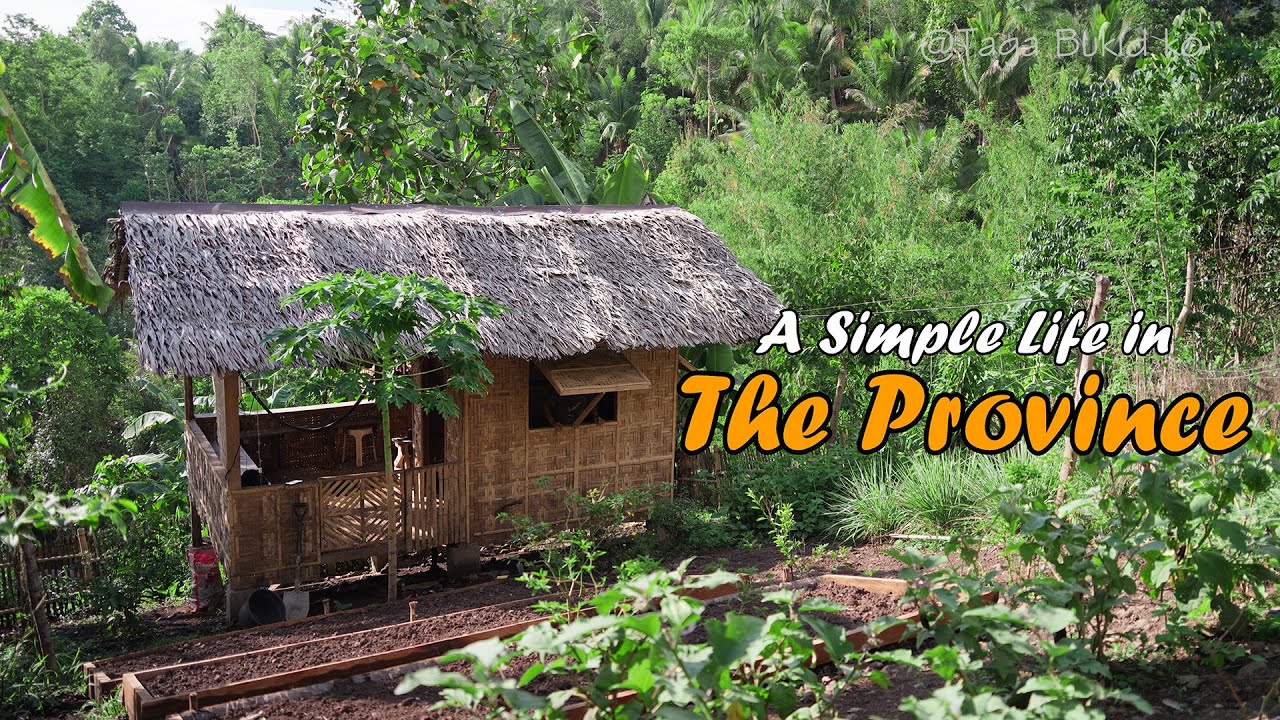 Другой вид блюда из местной курицы «Нилагпанг» Илонгго! Я посадил Печай и лук