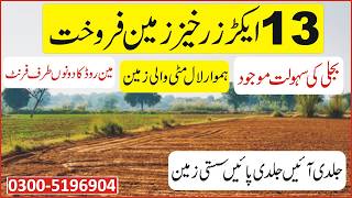 Land For Sale | 13 Acre Agriculture Land For Sale In Punjab Pakistan | Zari Zameen