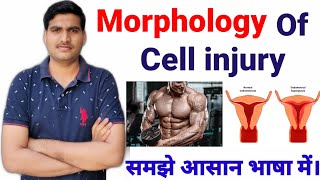 Morphology of cell injury | in Hindi 2nd semester
