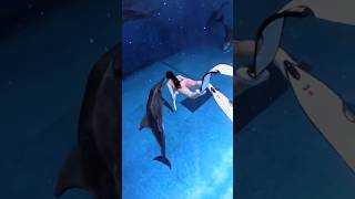 The disturbing reason why a dolphin's smile is actually a fake mask The disturbing reason why a dolphin's smile is actually a fake mask