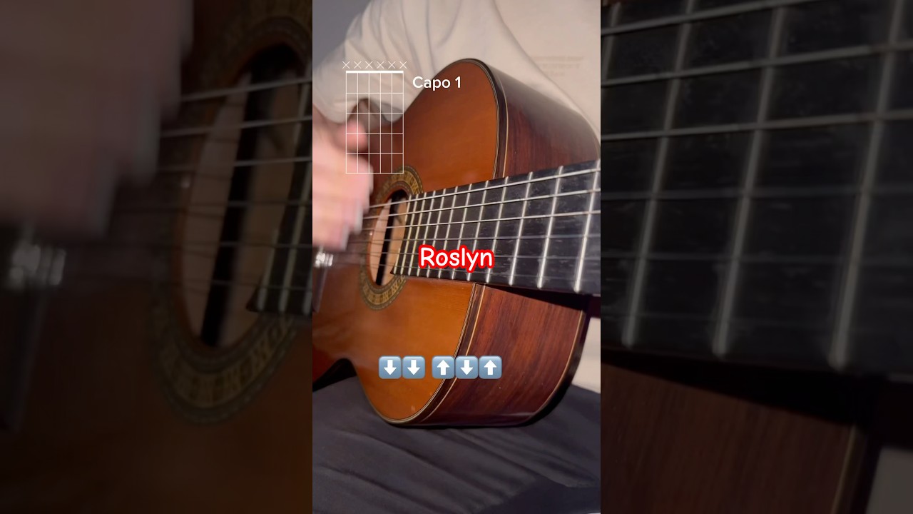 roslyn - bon iver & st.vicent 