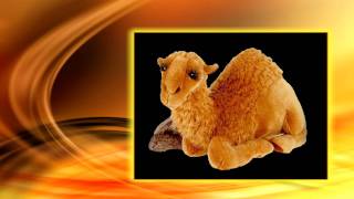 Dromedary Camel Stuffed Animal