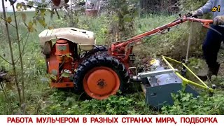 видео: РАБОТА МУЛЬЧЕРОМ В РАЗНЫХ СТРАНАХ МИРА, ПОДБОРКА #1/MULCHER WORK IN DIFFERENT COUNTRIES OF THE WORLD картинка: РАБОТА МУЛЬЧЕРОМ В РАЗНЫХ СТРАНАХ МИРА, ПОДБОРКА #1/MULCHER WORK IN DIFFERENT COUNTRIES OF THE WORLD
