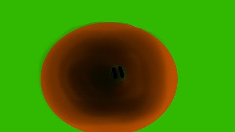 Algicosathlon Shorts - The Hole