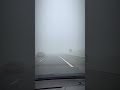 Driving Whispers | Foggy Morning Drive