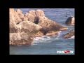 Documentario - Tecniche di Pesca Sub - Nei primi Quindici Metri - Sardegna 2011