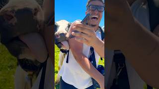 Forget Petting Zoos This Is A Licking Zoo Now Help